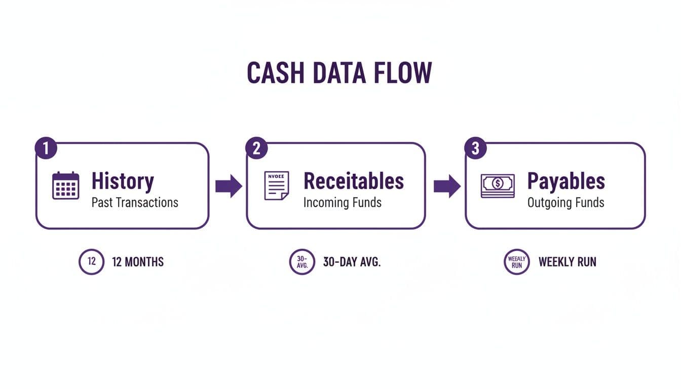 A cash data flow diagram showing past transactions history, incoming receivables, and outgoing payables with associated timeframes.