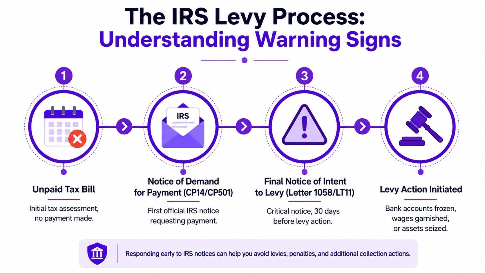 The IRS Levy Process and Warning Signs
