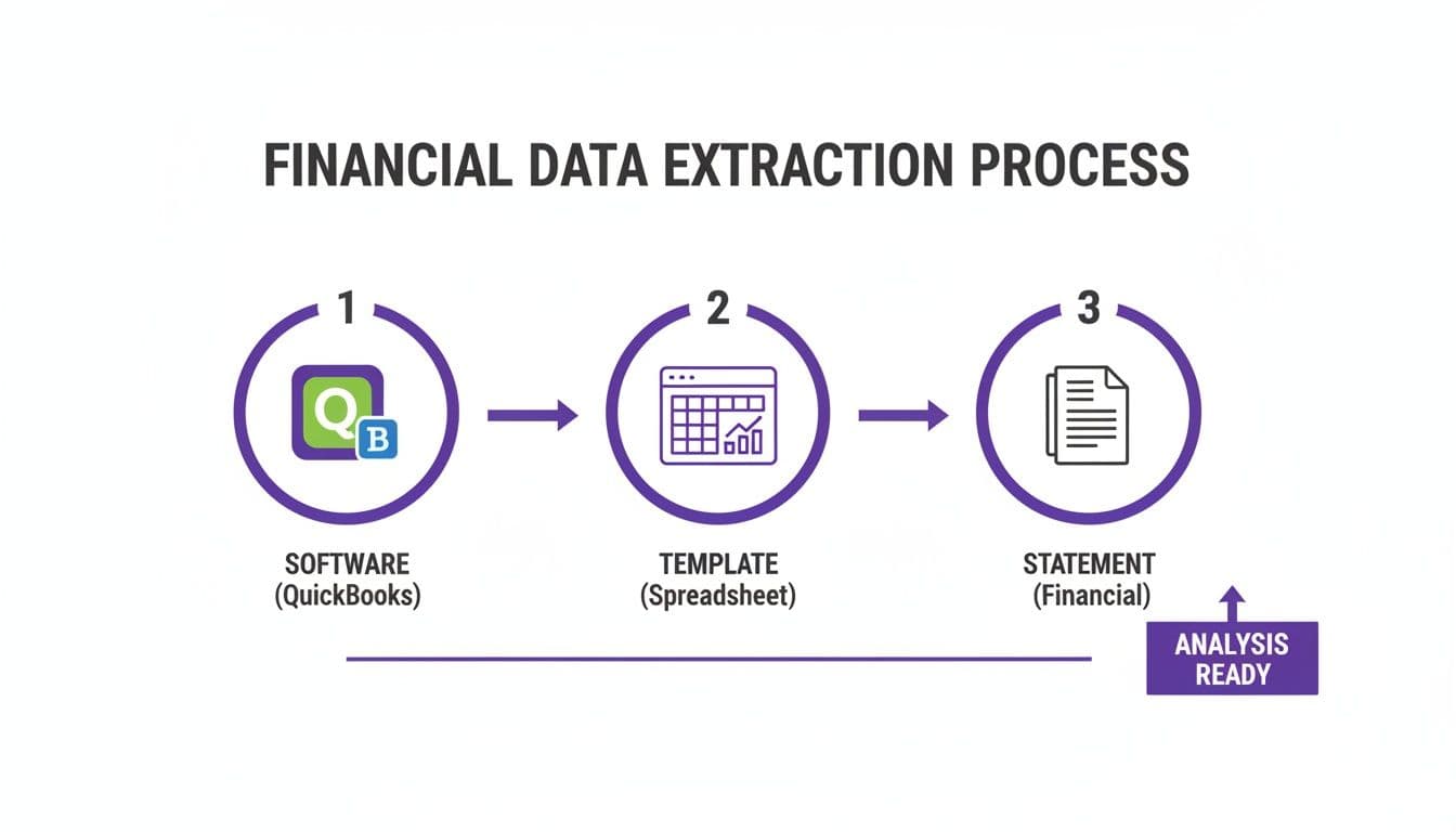 A flowchart illustrates the financial data extraction process, moving from software to a spreadsheet template to a financial statement.